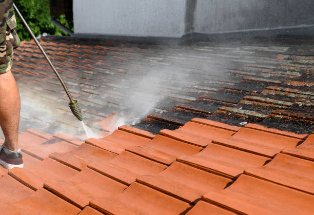 Local Pressure Washing Services in South Brooksville, FL